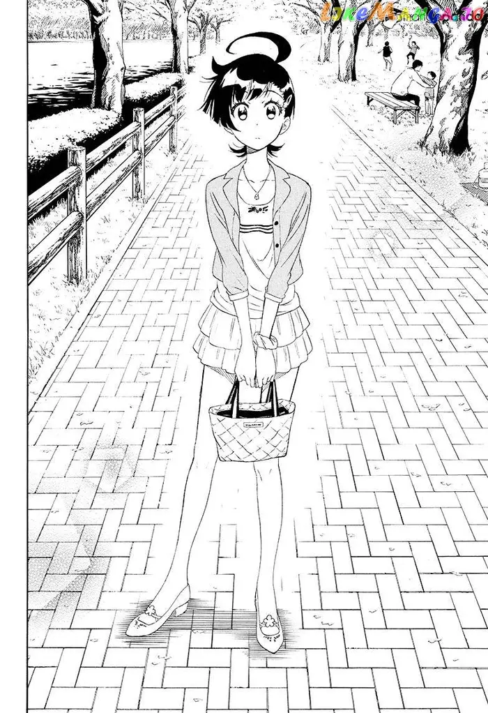 Nisekoi Chapter 203 image 14_optimized